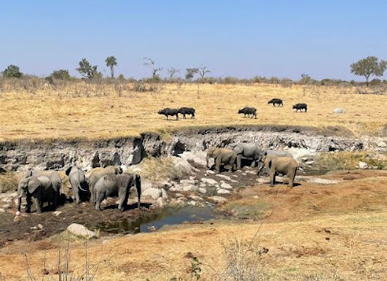 zimbabwe/hwange-national-park/landmark/hwange-safaris