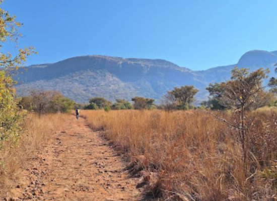 south-africa/north-west/landmark/van-gaalen-cheese-farm