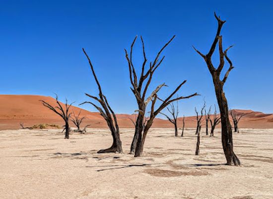 namibia/sossusvlei/landmark/namib-naukluft-national-park