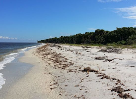 florida/sun-coast/landmark/cayo-costa-state-park