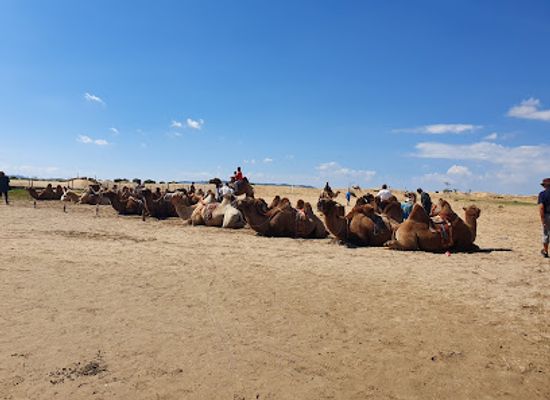mongolia/gobi-desert/landmark/elsen-tasarkhai-sand-dune-mini-gobi