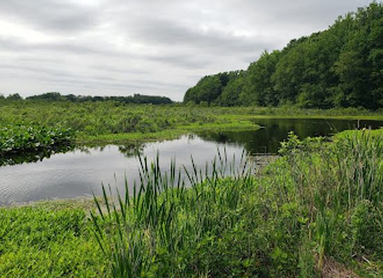 delaware/bombay-hook-national-wildlife-refuge/landmark/bombay-hook-national-wildlife-refuge-visitor-center