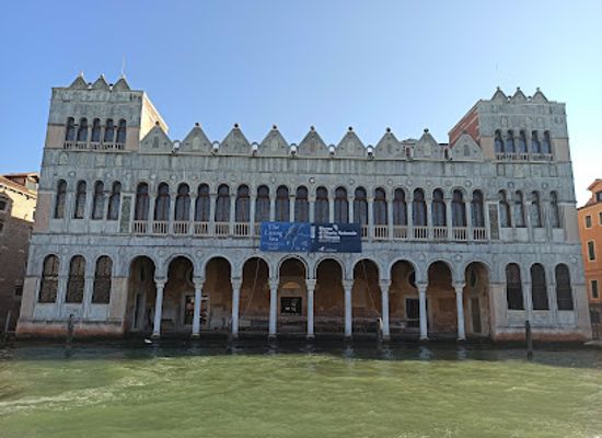 italy/venice/santa-croce/landmark/museo-di-storia-naturale-giancarlo-ligabue