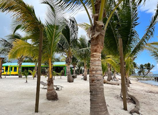 belize/the-cayes/landmark/island-wonder-beach-club