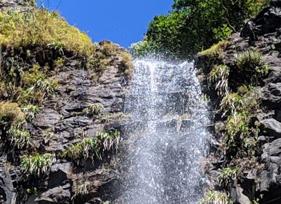 mauritius/tamarin/landmark/mare-aux-joncs-black-river-gorges-mauritius-waterfall