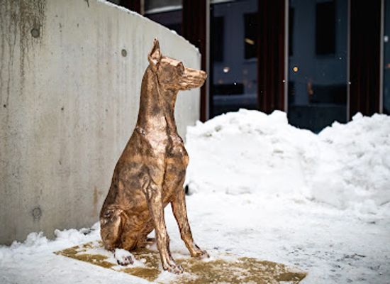 lithuania/vilnius/uzupis/landmark/dobermane