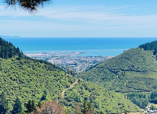 new-zealand/nelson/landmark/coppermine-trail
