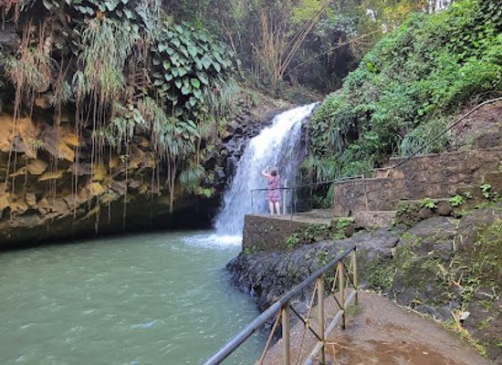 grenada/guava/landmark/annandale-waterfall-forest-park