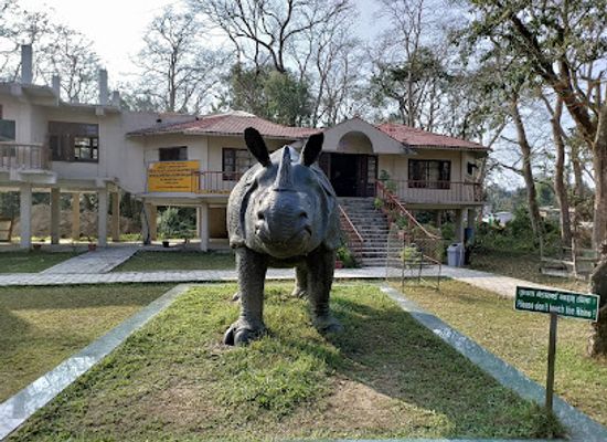 nepal/chitwan/sauraha/landmark/wildlife-display-information-center