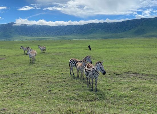 tanzania/selous-game-reserve/landmark/ngorongoro-conservation-area