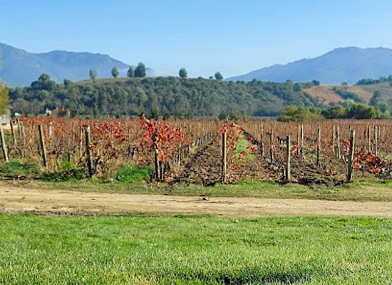 chile/colchagua-valley/landmark/vina-montes