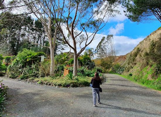 new-zealand/hamilton/landmark/the-sculpture-park-at-waitakaruru-arboretum