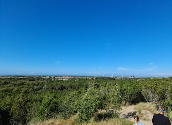 denmark/skagen/landmark/flagbakken