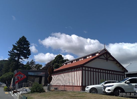 new-zealand/tasman/landmark/the-suter-art-gallery