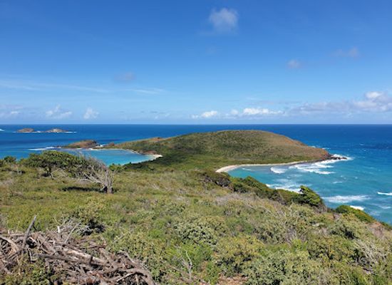 puerto-rico/culebra/landmark/culebra-national-wildlife-refuge