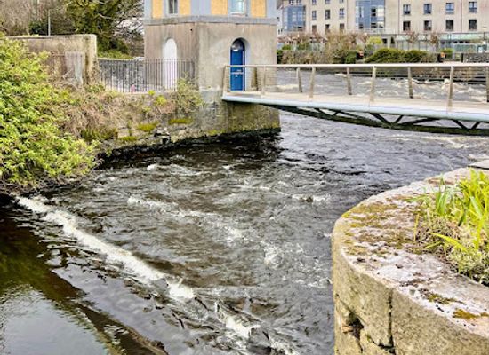 ireland/county-galway/landmark/the-fisheries-watchtower-museum
