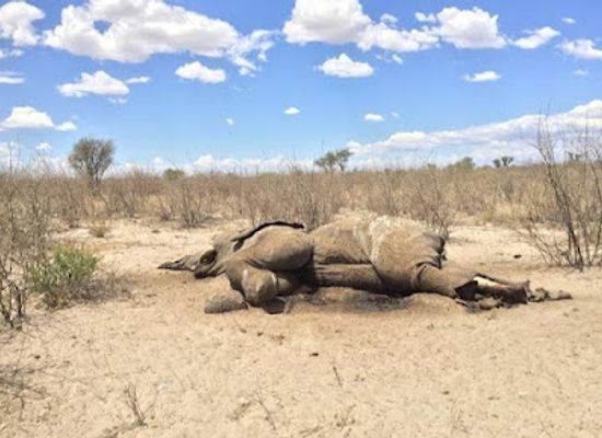 botswana/kalahari-desert/landmark/chobe-river