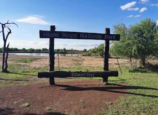 eswatini/lowveld/landmark/hlane-royal-national-park