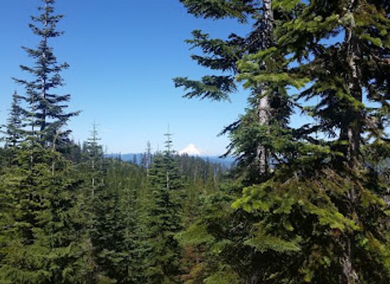 oregon/linn-county/landmark/bull-of-the-woods-wilderness