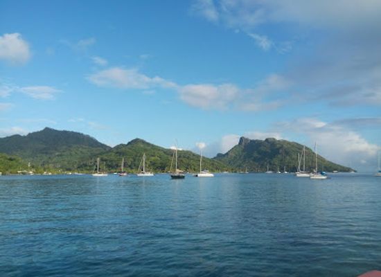french-polynesia/huahine/landmark/huahine-shop