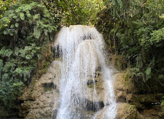 dominican-republic/las-terrenas/landmark/parada-de-guaguas-union-de-choferes-de-las-terrenas-el-limon-samana-y-las-galeras