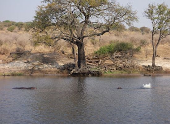 botswana/kasane/landmark/kalahari-tours