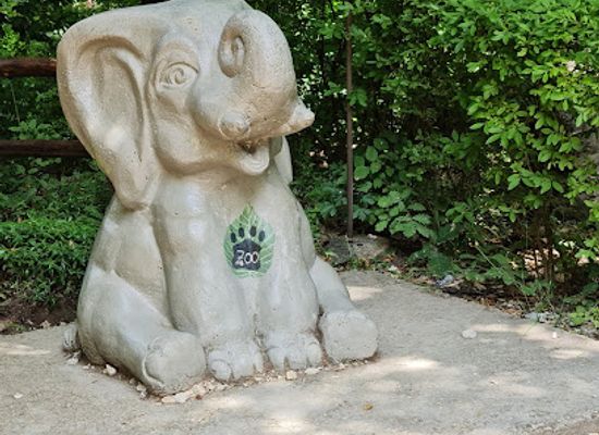 hungary/bukk/landmark/miskolc-zoo