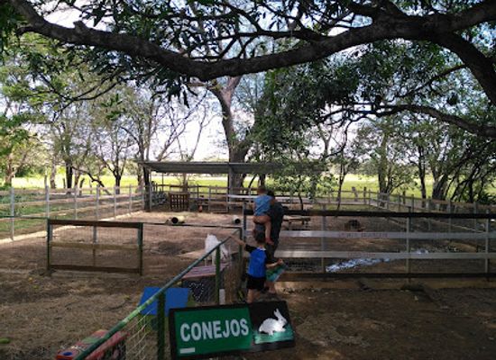 costa-rica/guanacaste/landmark/centro-de-rescate-las-pumas