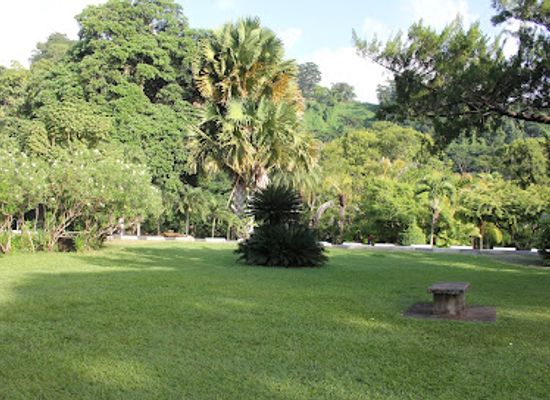 dominica/dominica-botanic-gardens/landmark/botanical-gardens-gazebo