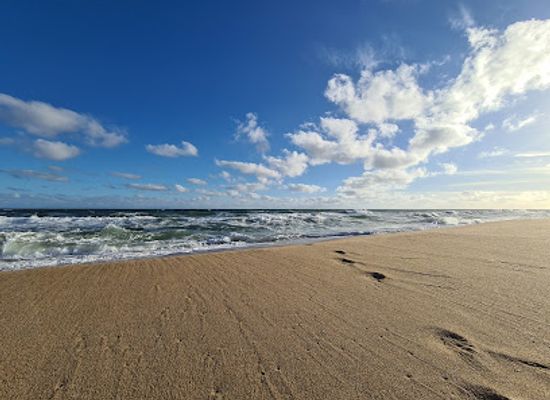 uruguay/rocha-coast/landmark/sendero-barra-de-la-laguna