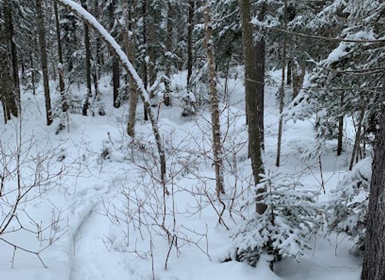 canada/lanaudiere/landmark/le-mont-des-cascades-parc-national-du-mont-tremblant-secteur-pimbina-saint-donat