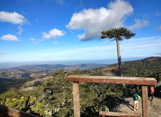 chile/araucania-region/landmark/nahuelbuta-national-park