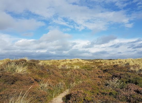 netherlands/wadden-islands/landmark/koegelwieck