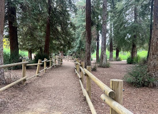 california/south-coast/landmark/redwood-grove