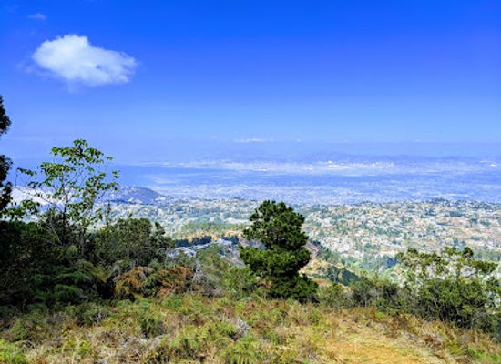 haiti/ouest/landmark/wynne-farm-ecological-reserve