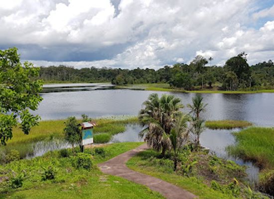 brunei/bukit-sawat/landmark/taman-warisan-tasek-merimbun