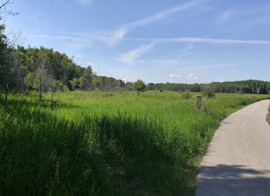 canada/winnipeg/assiniboine-park/landmark/assiniboine-forest-marsh-docks