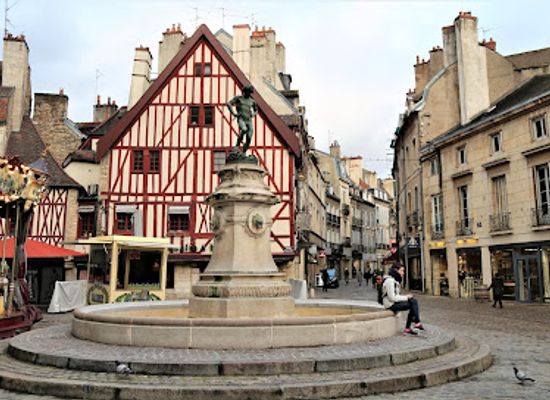 france/dijon/landmark/la-fontaine-place-francois-rude