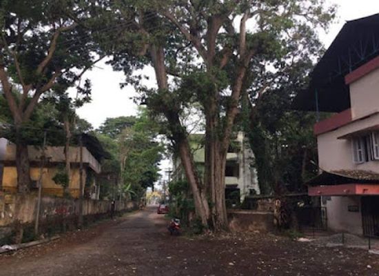 india/alleppey/landmark/raja-keshavadas-palace