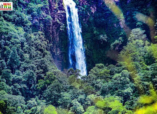 ghana/wli-nature-reserve/landmark/visit-wli-waterfalls