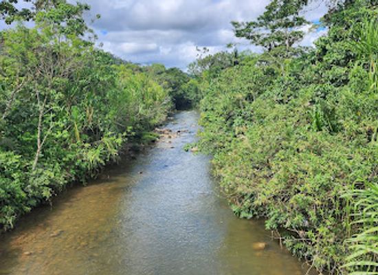 ecuador/amazon/landmark/sacha-wasi