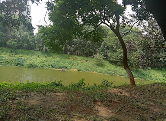 bangladesh/dhaka-division/landmark/gulshan-society-lake-park