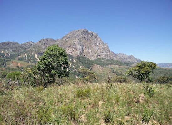 mozambique/chimanimani-mountains/landmark/chimanimani-national-reserve