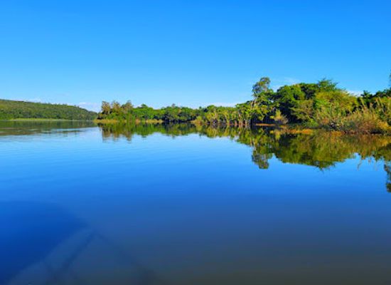 madagascar/ranomafana-national-park/landmark/ankarafantsika-national-park