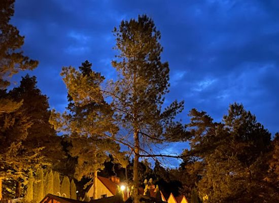 poland/beskid-niski-mountains/landmark/magurska-ostoja
