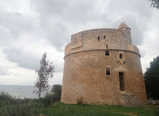 spain/mallorca/landmark/torre-major