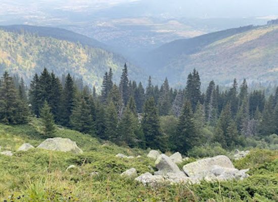 bulgaria/vitosha-mountain/landmark/vitosha-natural-reserve