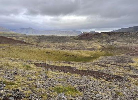 iceland/western-region/landmark/berserkjahraun