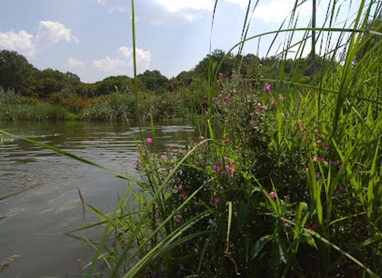 ukraine/seversky-donets-river/landmark/sivers-kyi-donets-donbas-channel