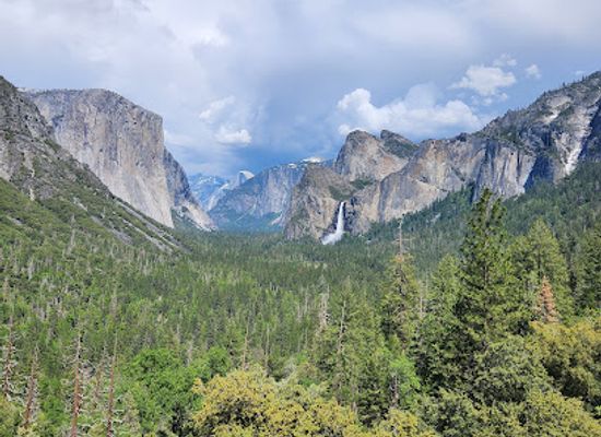 california/yosemite/landmark/wawona-tunnel